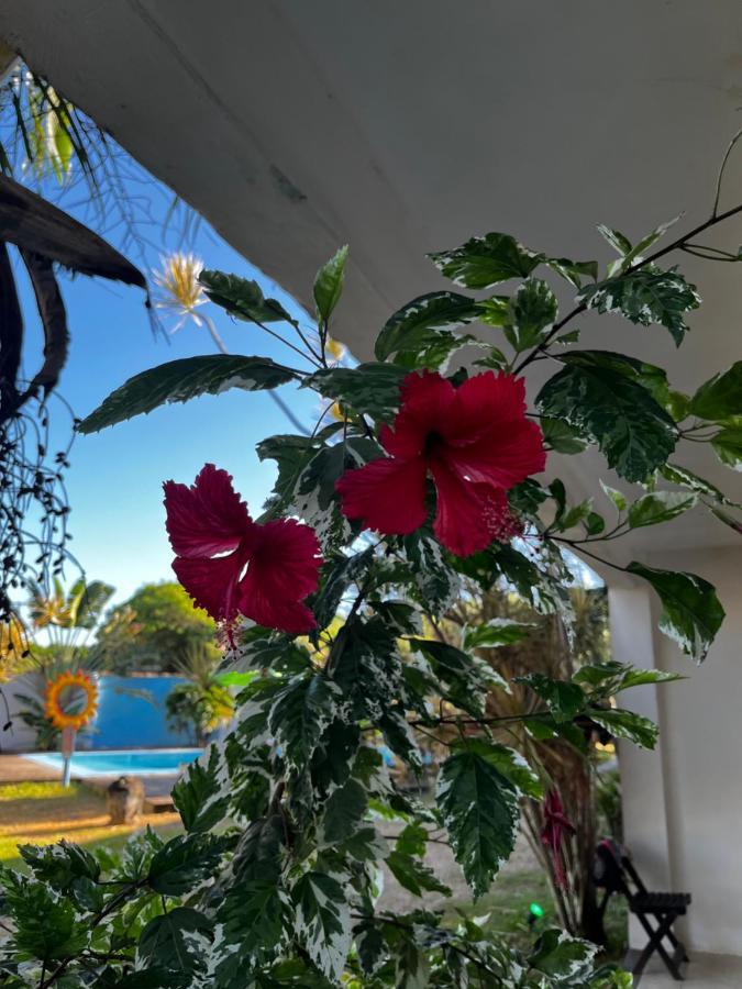 Eco Suites Caravelas Cabo Frio Exteriör bild